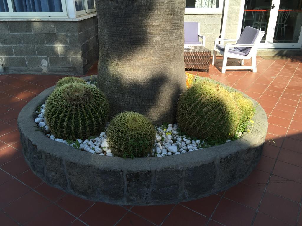Hotel Villa Al Parco Forio di Ischia المظهر الخارجي الصورة